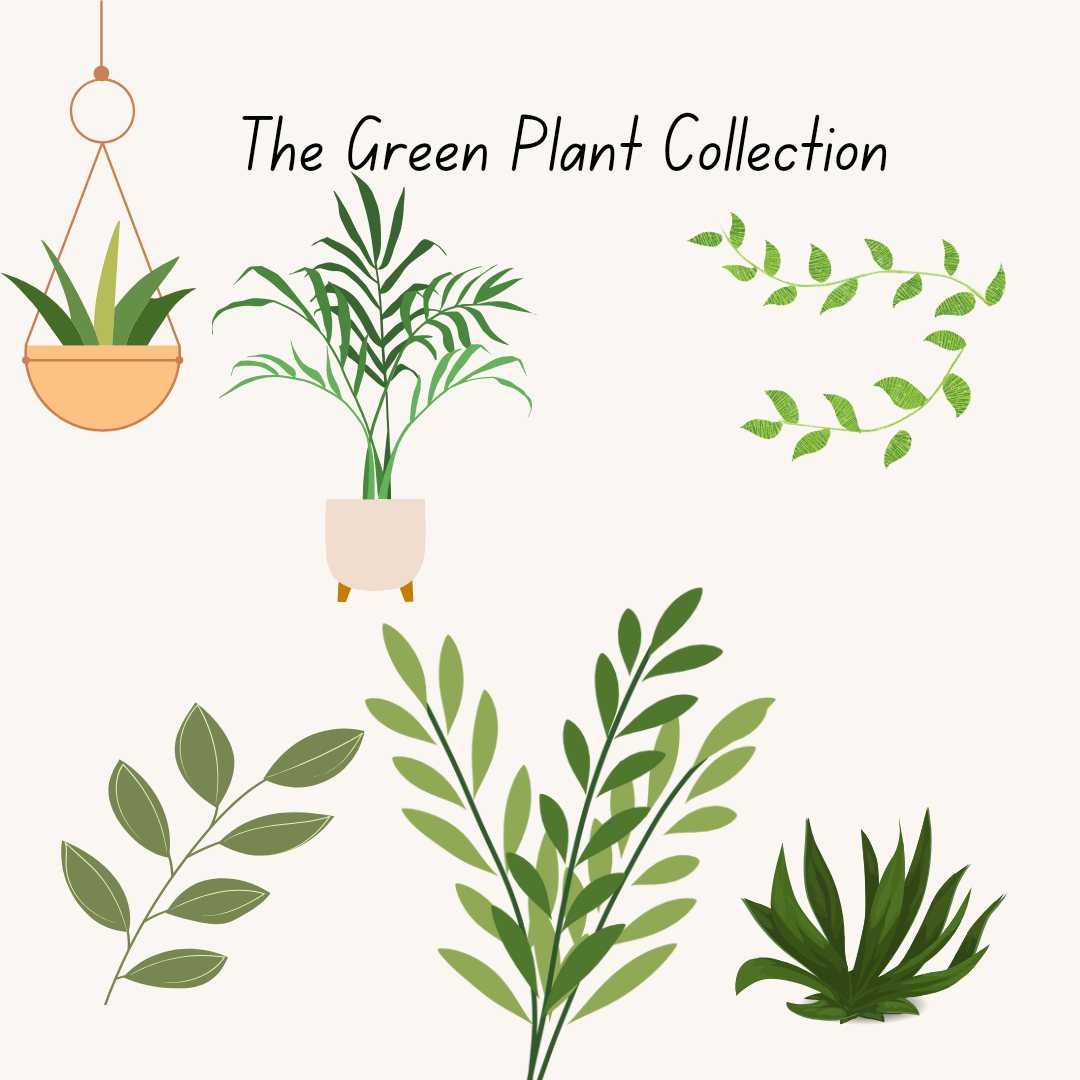 Green Plant Collection